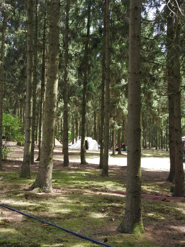 Natuurcamping Den Buizerd