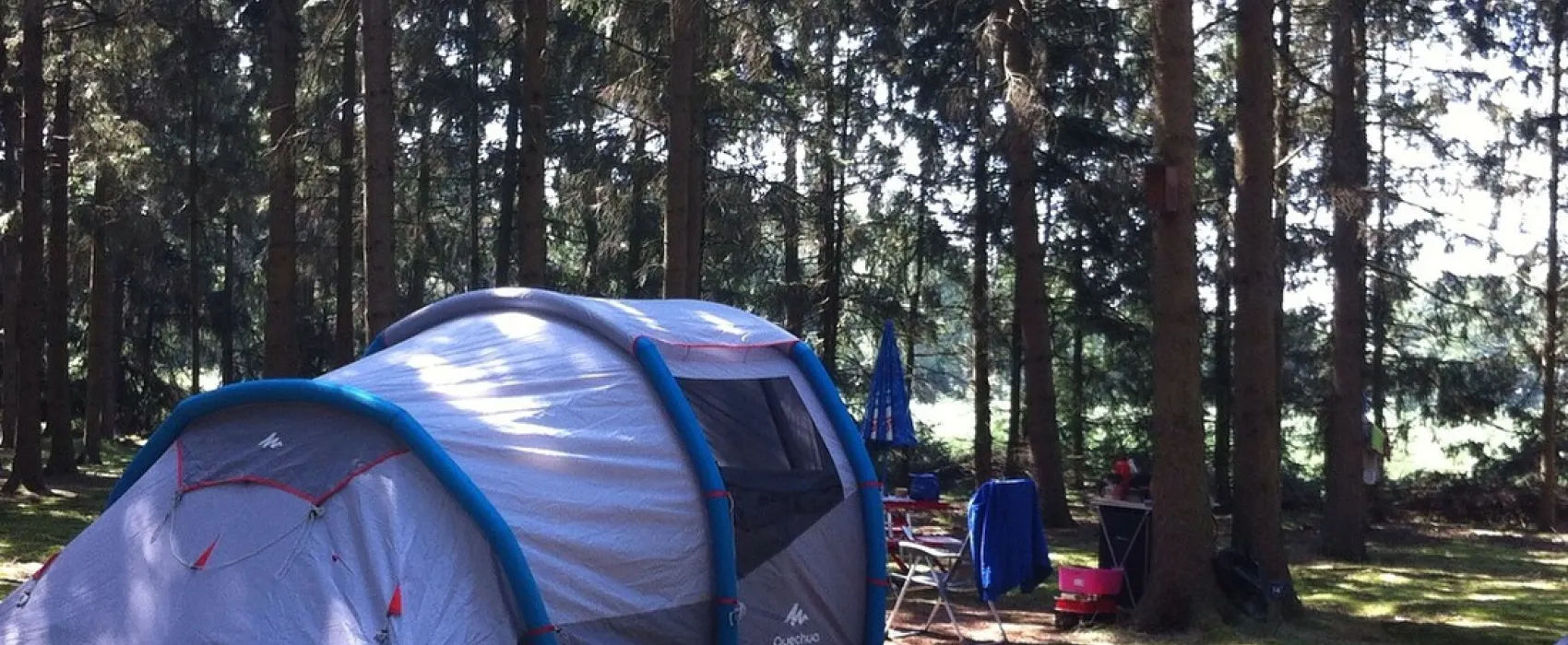 Natuurcamping Den Buizerd