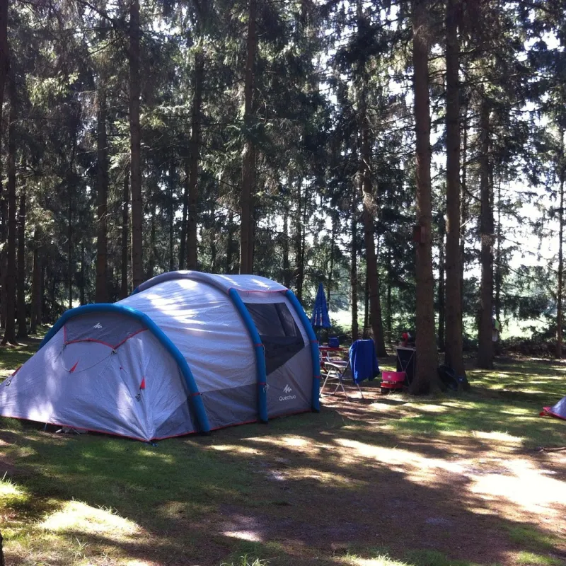 Natuurcamping Den Buizerd