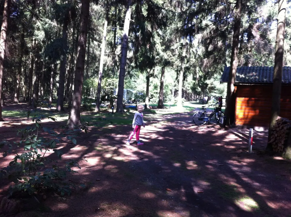 Natuurcamping Den Buizerd