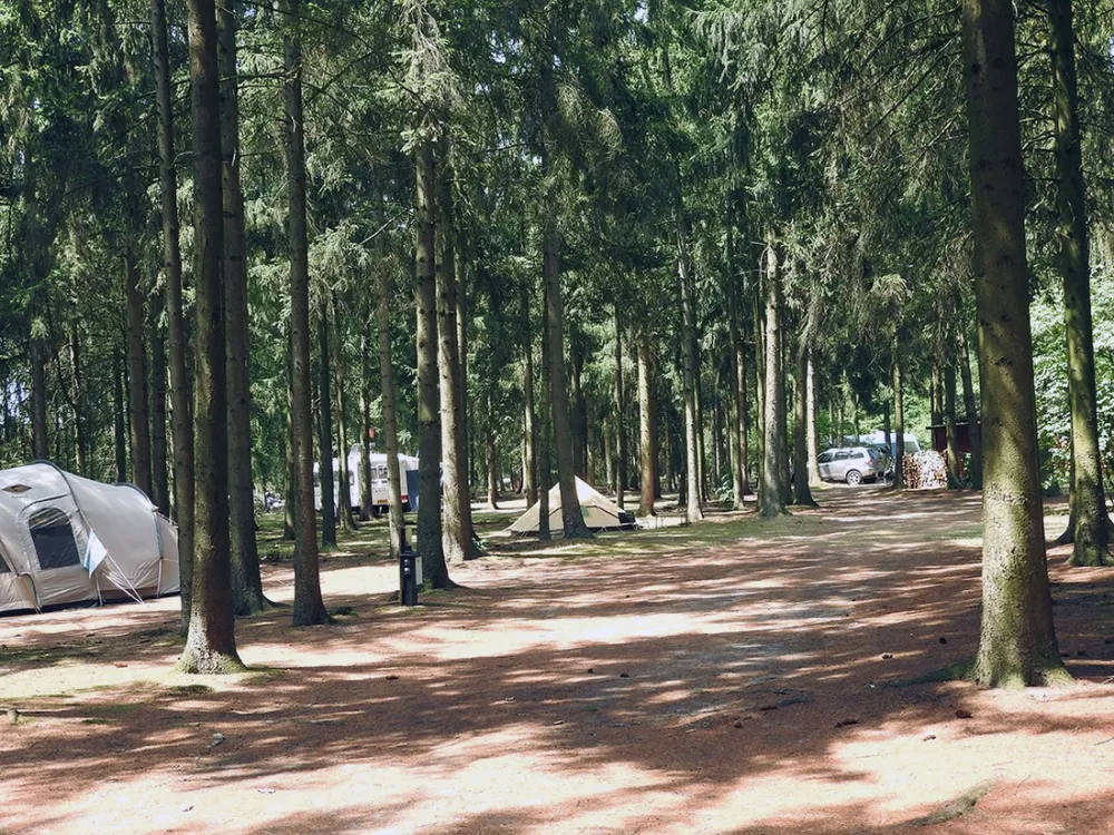 Natuurcamping Den Buizerd