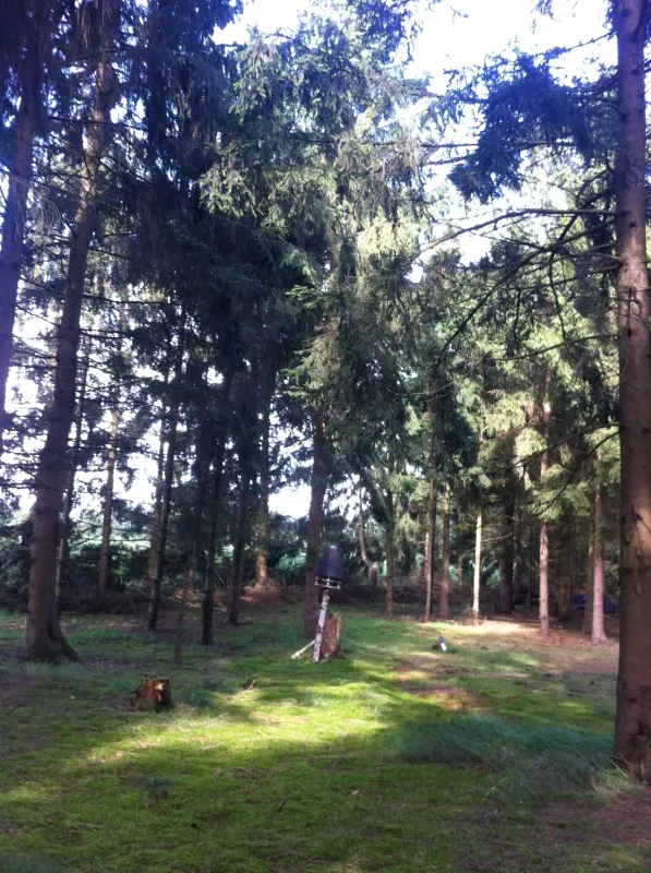 Natuurcamping Den Buizerd