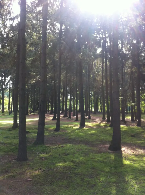 Natuurcamping Den Buizerd