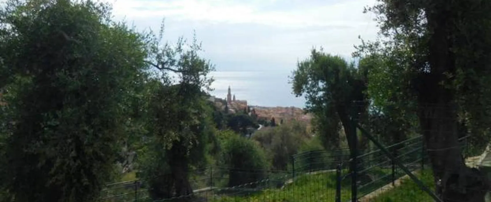 Camping Le Parc Saint Michel