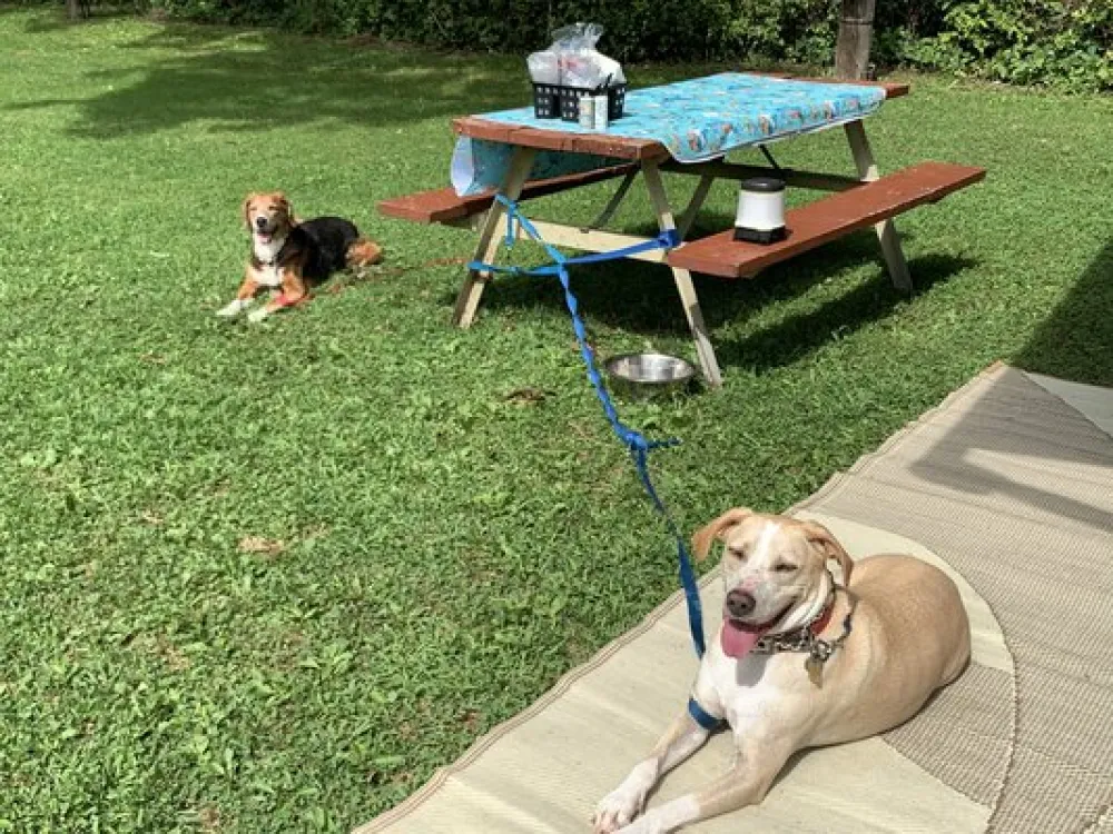 Triple Brook Camping Resort