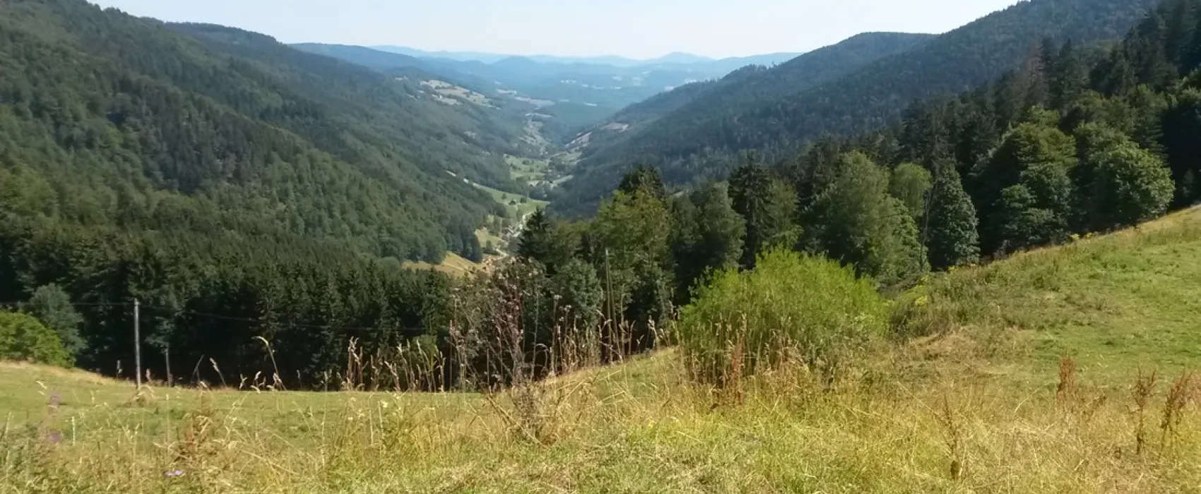 Les Reflets du Val d'Argent