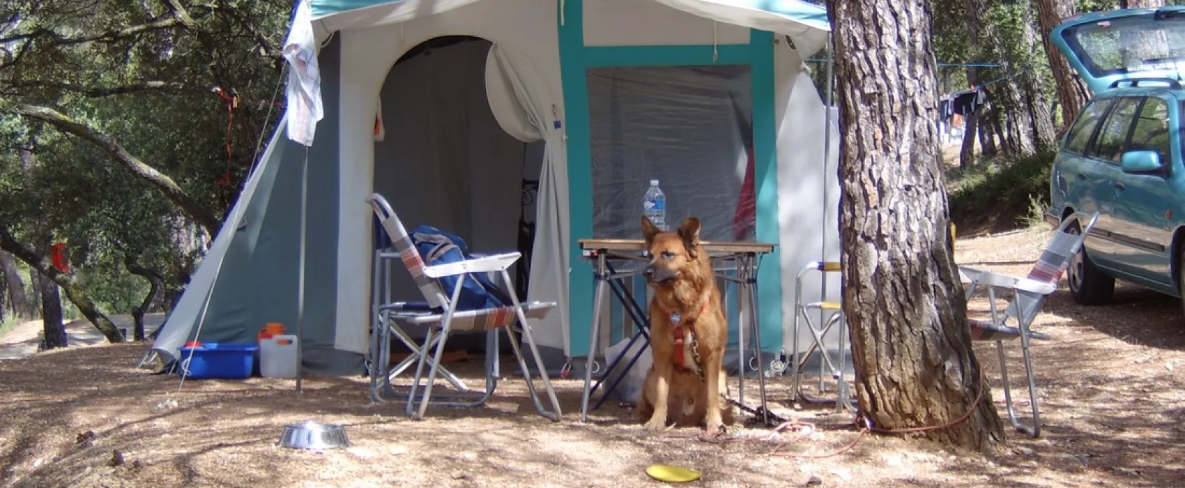 Municipal La Pinède