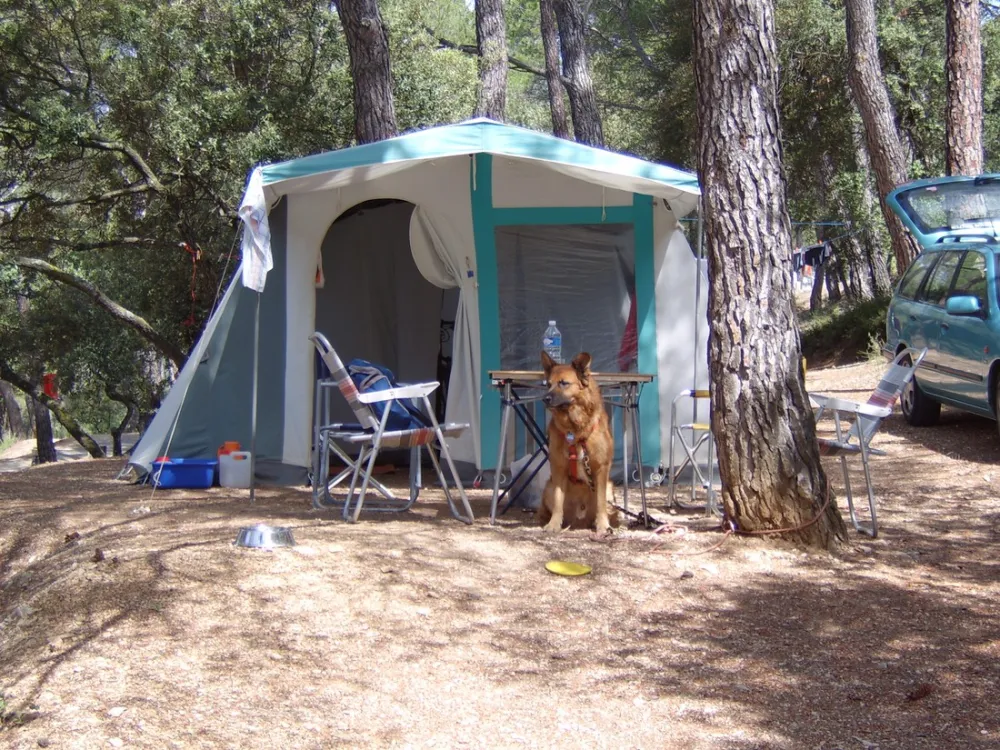 Municipal La Pinède