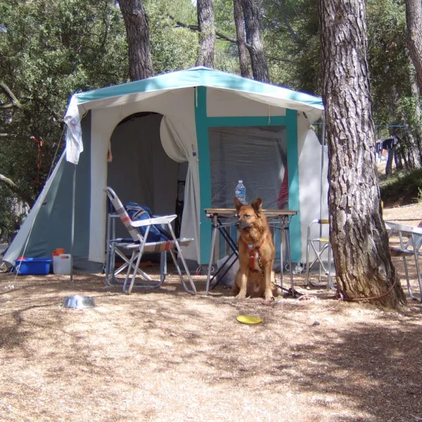 Municipal La Pinde in Frankreich - Spottocamp - Spottocamp
