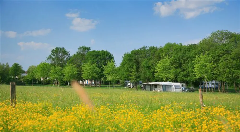 Minicipal en Bagatelle