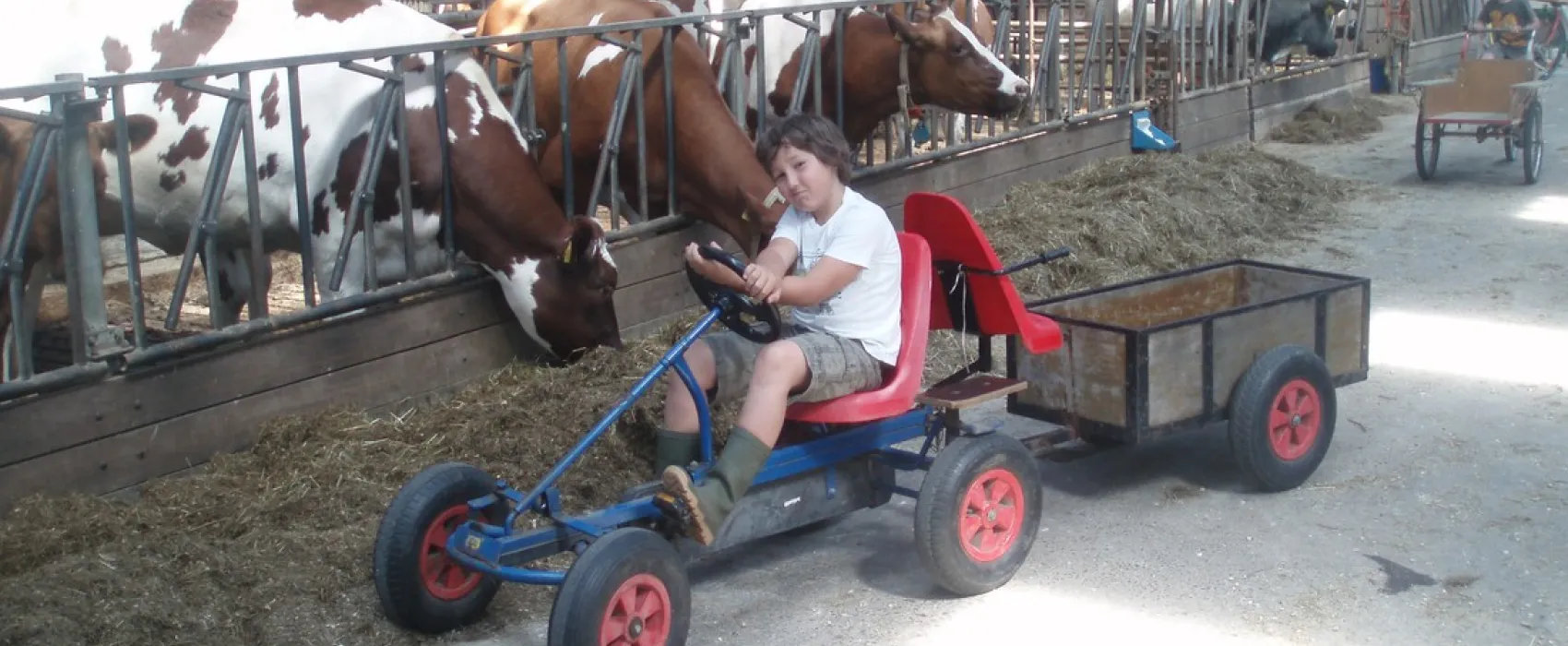 Minicamping 't Wai-ke