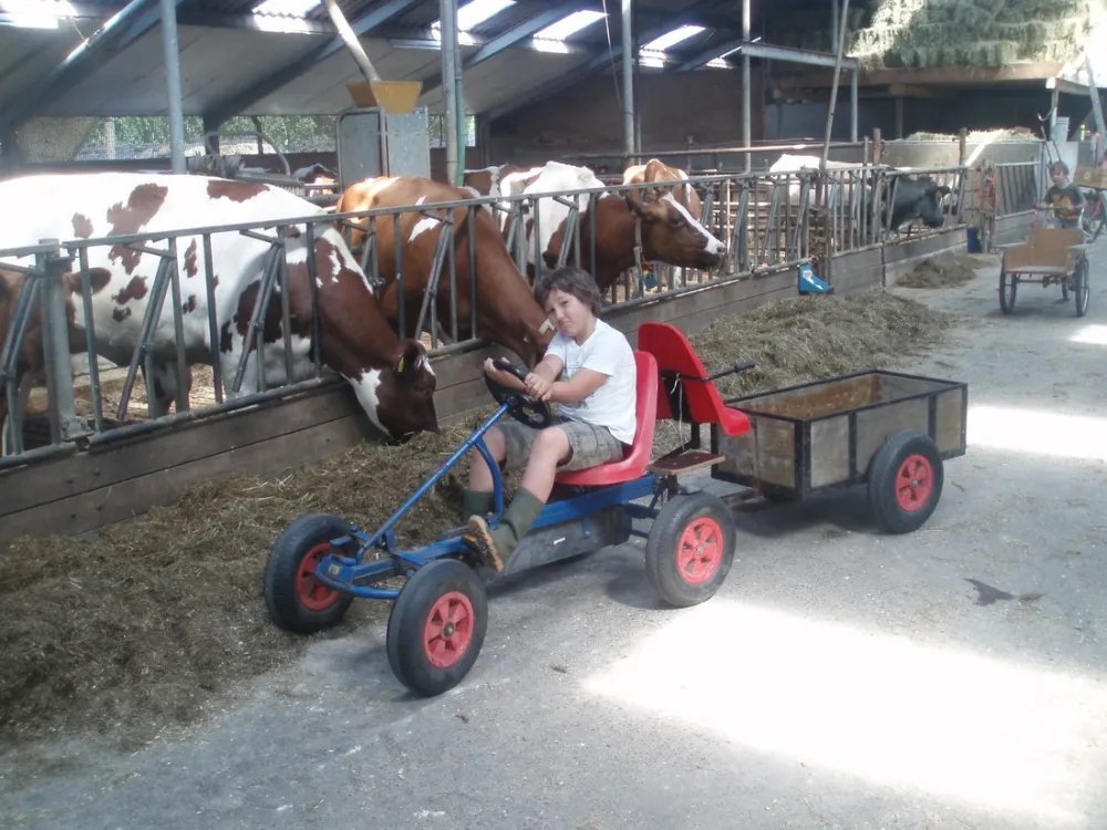 Minicamping 't Wai-ke