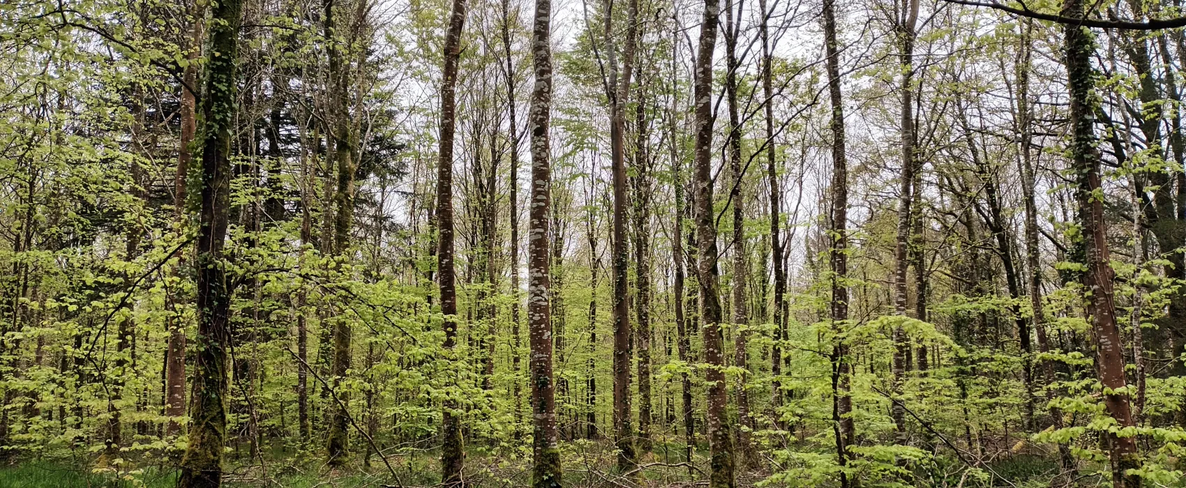 Camping Les Vieilles Forges