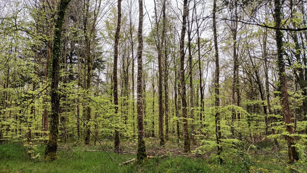 Camping Les Vieilles Forges