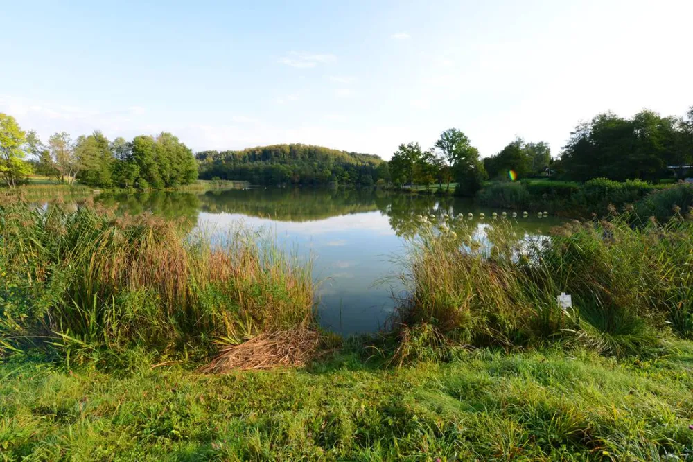 Camping Neumühlsee