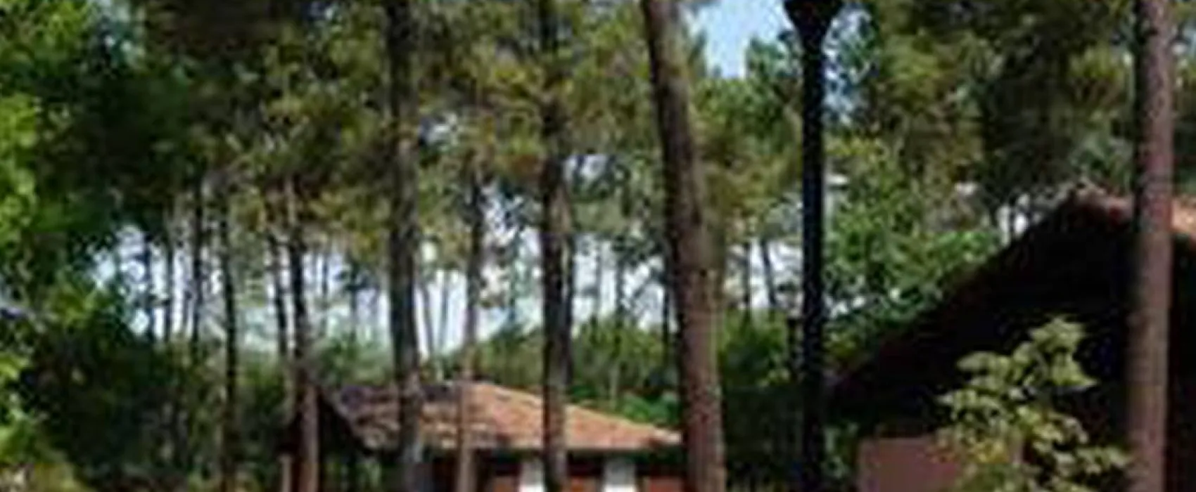 Camping Municipalde l'Arriu