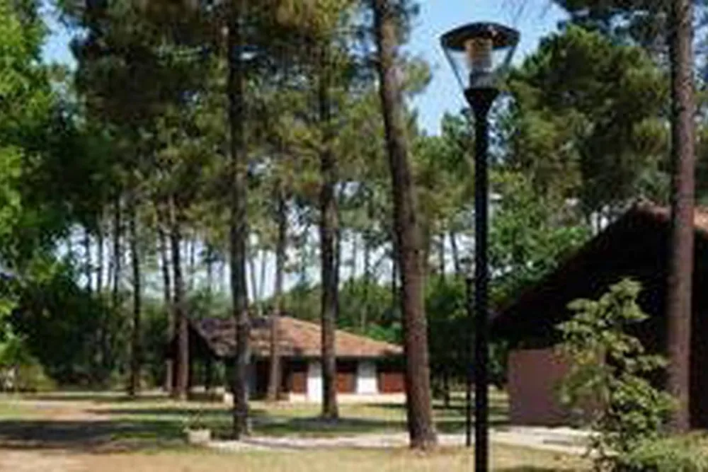 Camping Municipalde l'Arriu