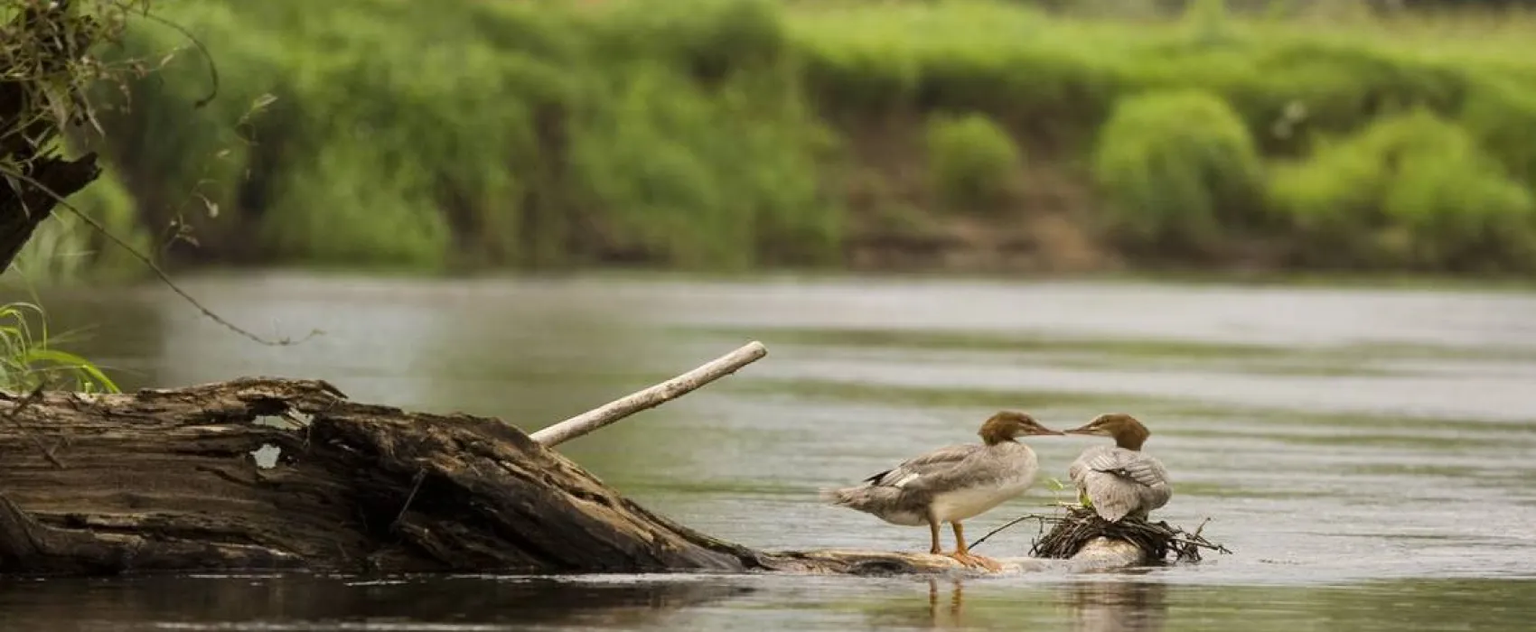Moto Przystań Camping