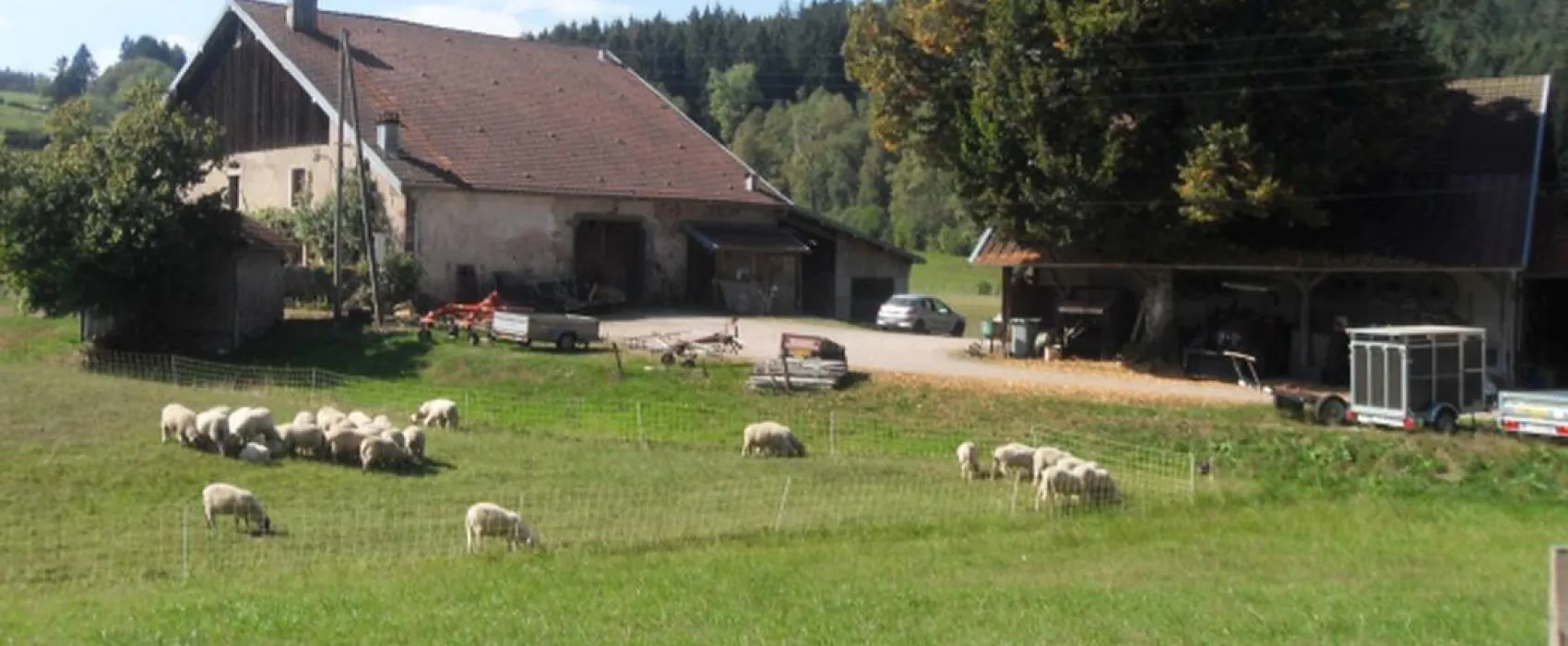 Camping à la ferme Aux Moineaux