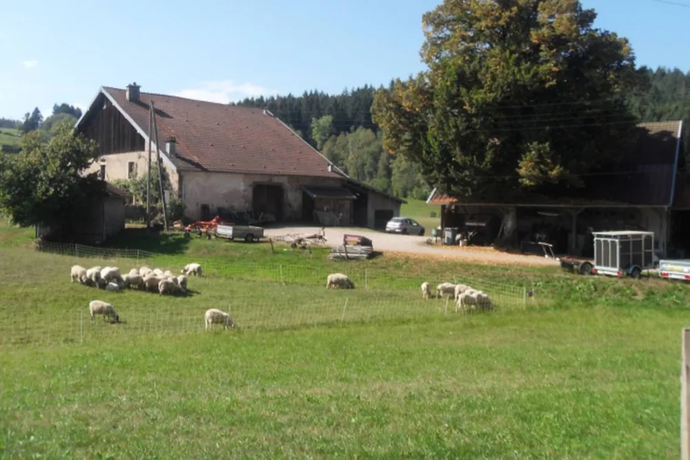 Camping à la ferme Aux Moineaux