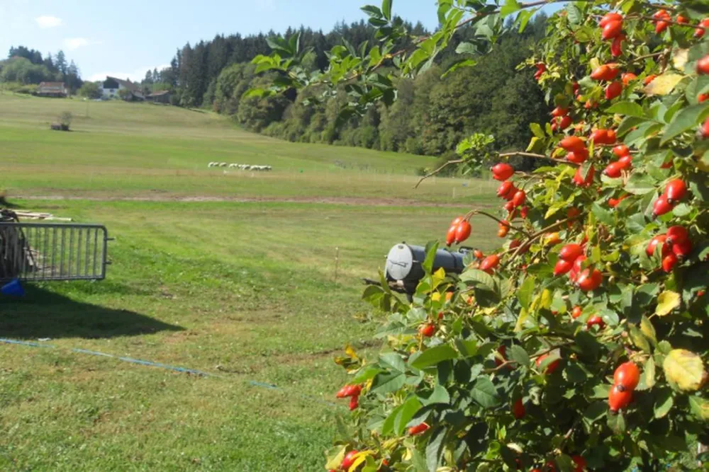 Camping à la ferme Aux Moineaux