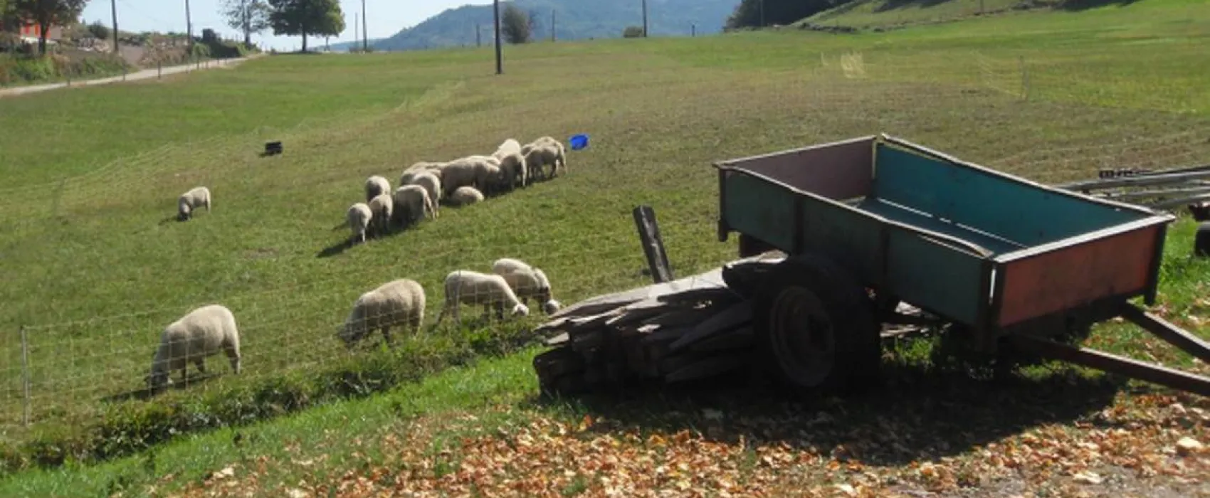 Camping à la ferme Aux Moineaux
