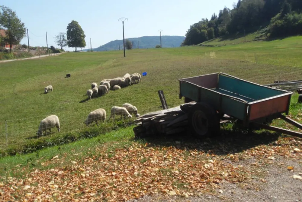 Camping à la ferme Aux Moineaux