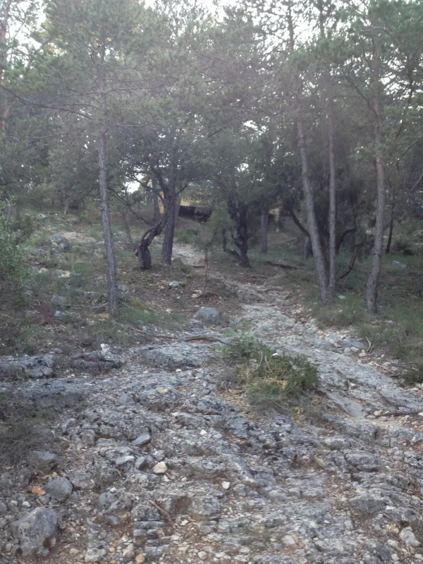 Tohapi Le Coteau de la Marine