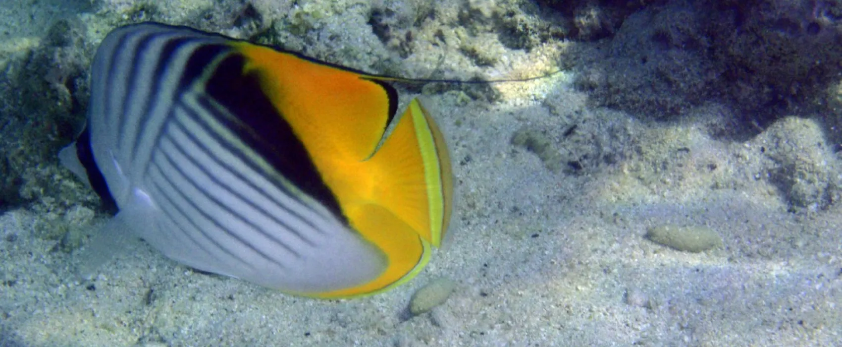 Ecolodge Nakari Village