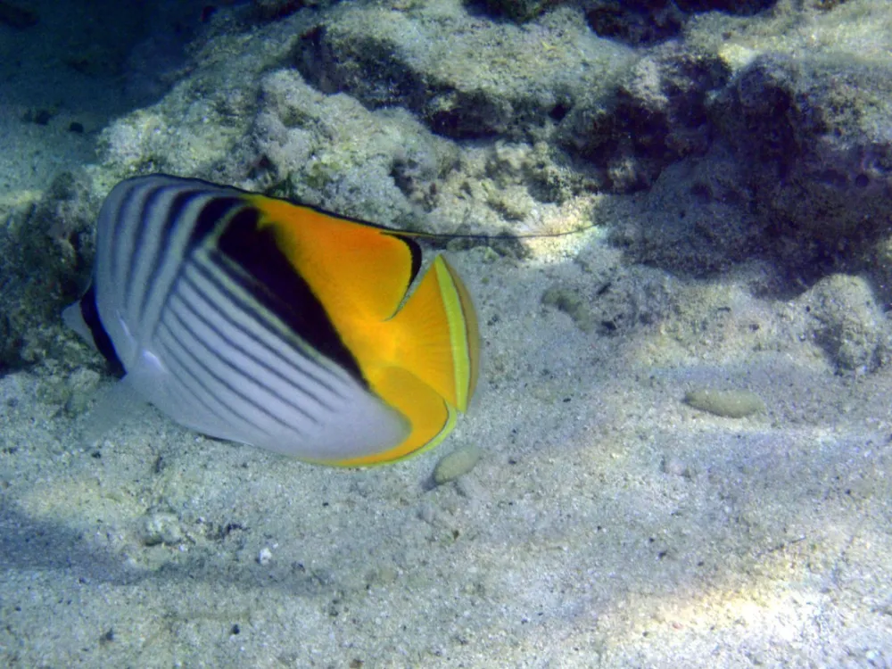 Ecolodge Nakari Village