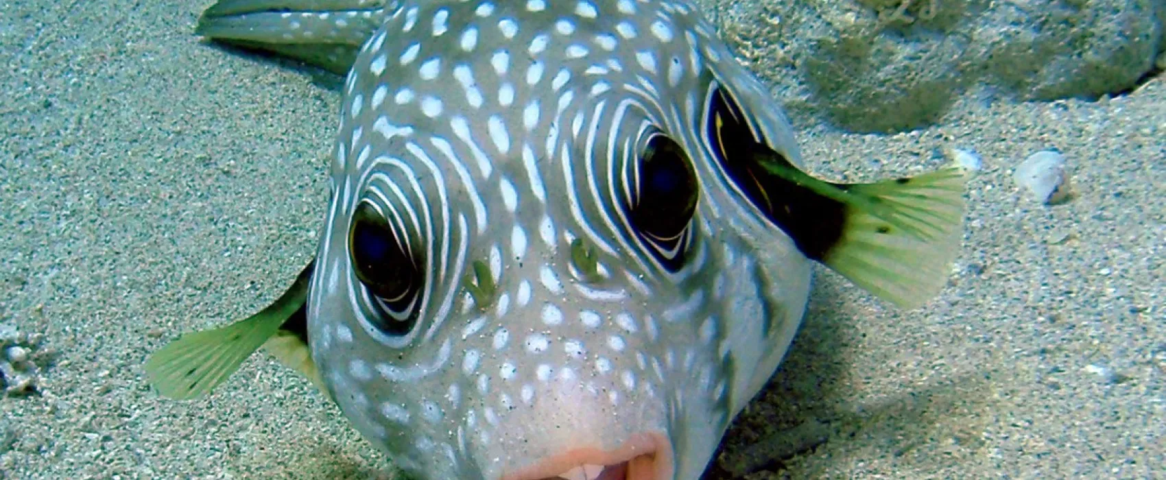 Ecolodge Nakari Village