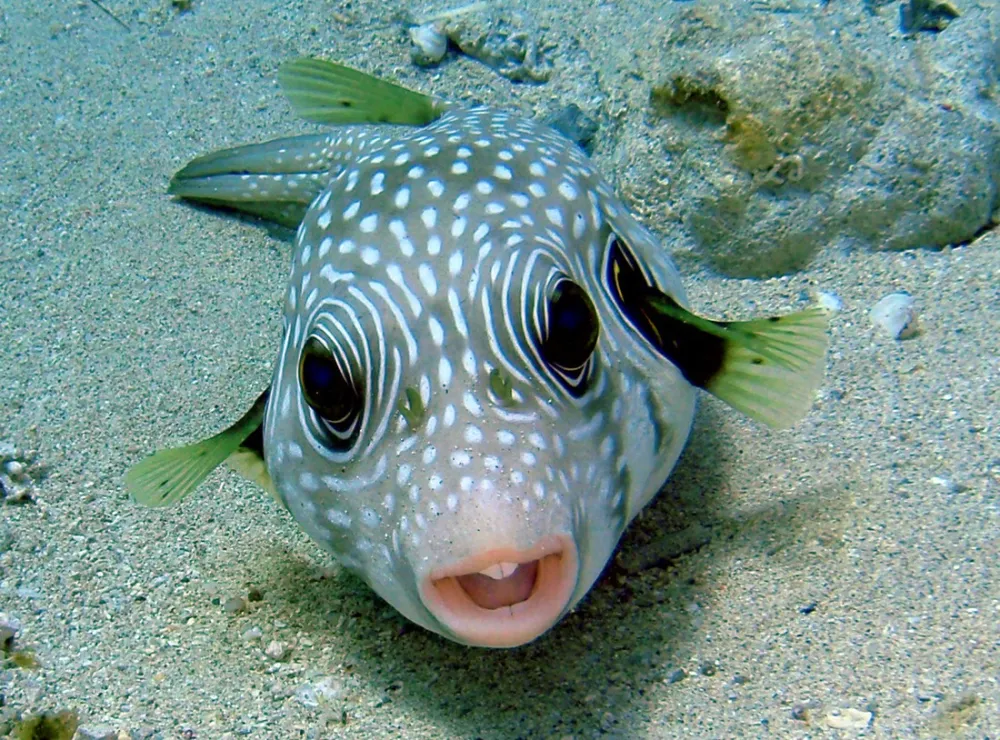 Ecolodge Nakari Village