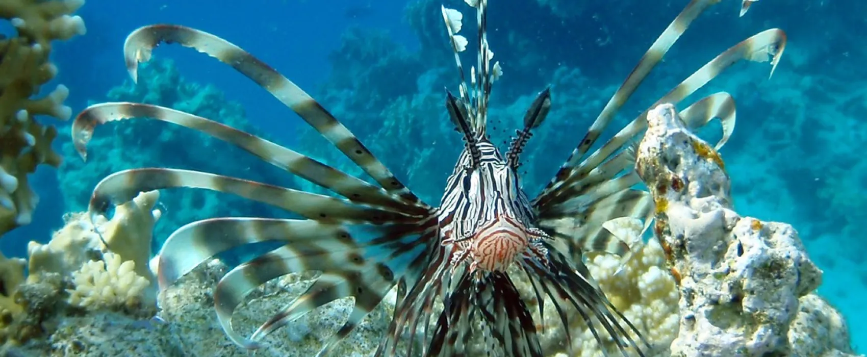 Ecolodge Nakari Village