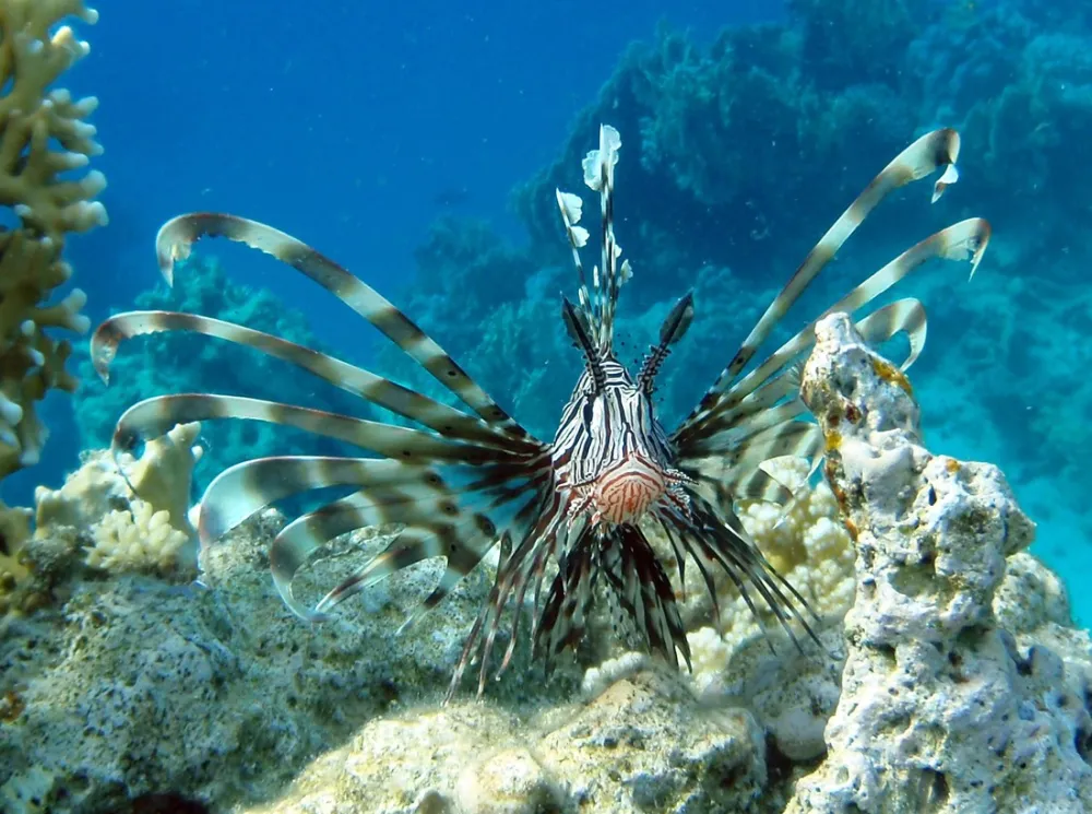 Ecolodge Nakari Village