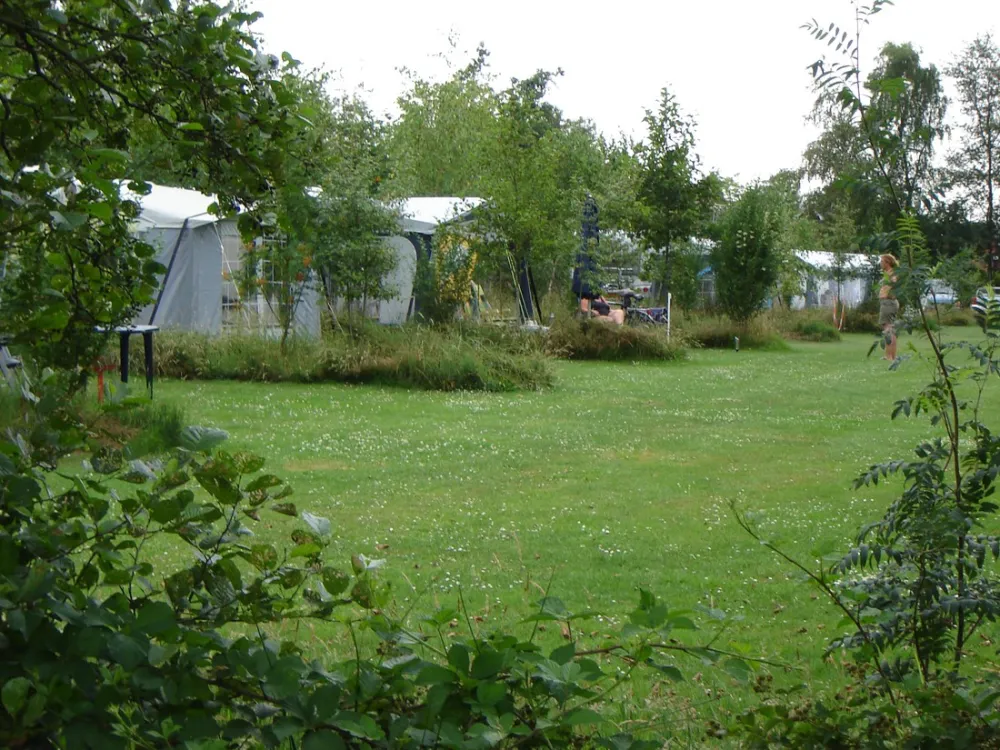 Minicamping De Dobbe