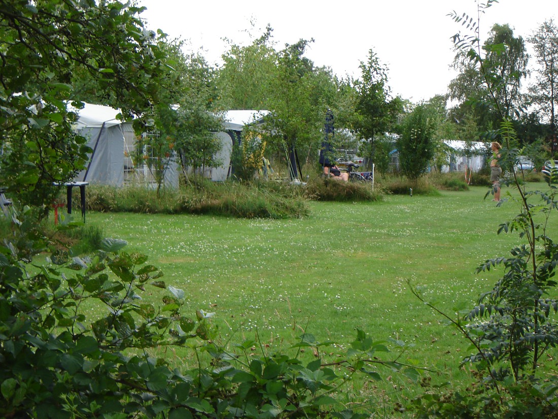 Minicamping De Dobbe - Photo 2