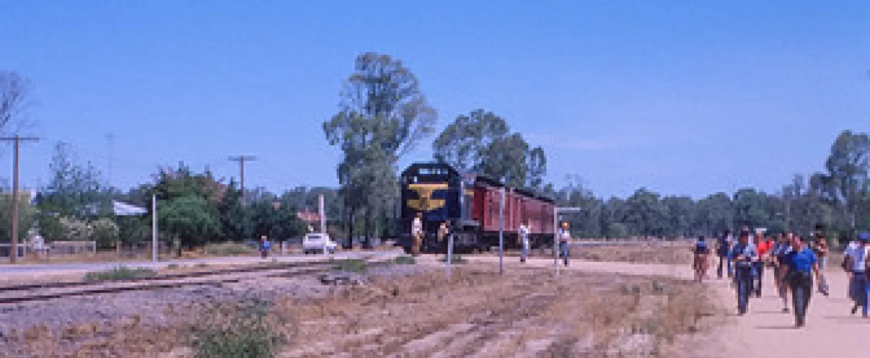 Koondrook Campground