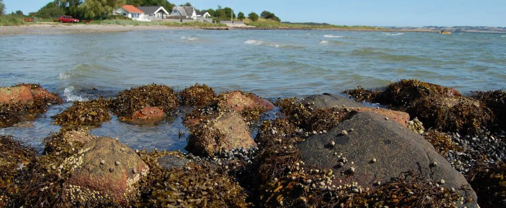 Kaløvig Strandgård Camping
