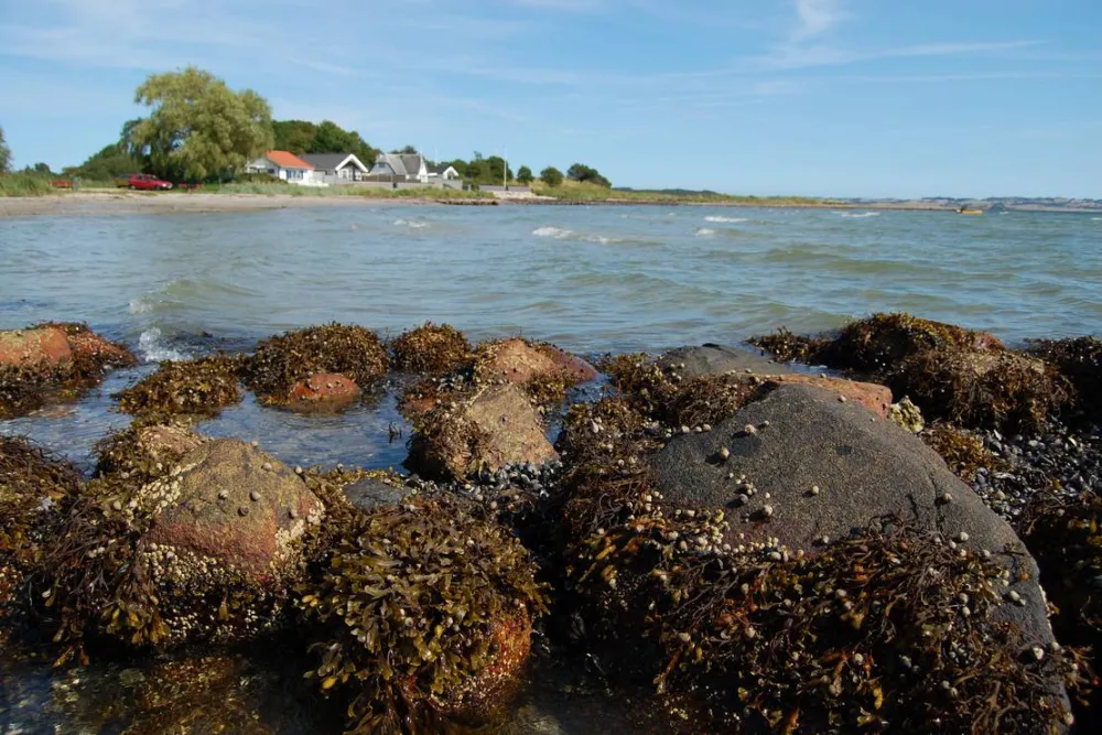 Kaløvig Strandgård Camping