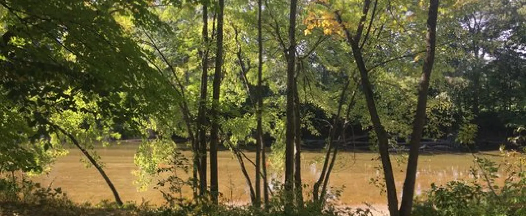 Saco River Camping Area