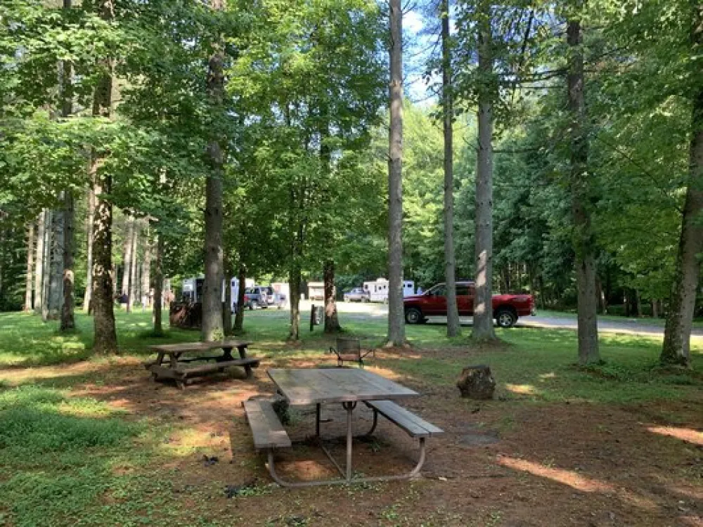 Kinderhook Trailhead Primitive Camping