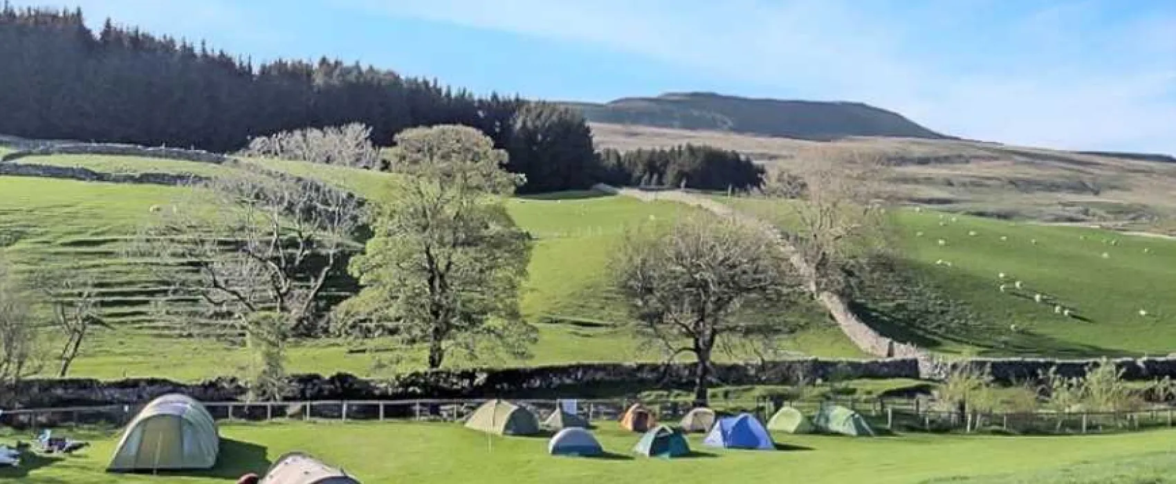 Philpin Farm Campsite