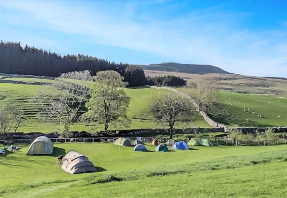 Philpin Farm Campsite