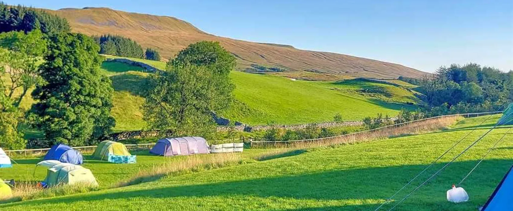 Philpin Farm Campsite