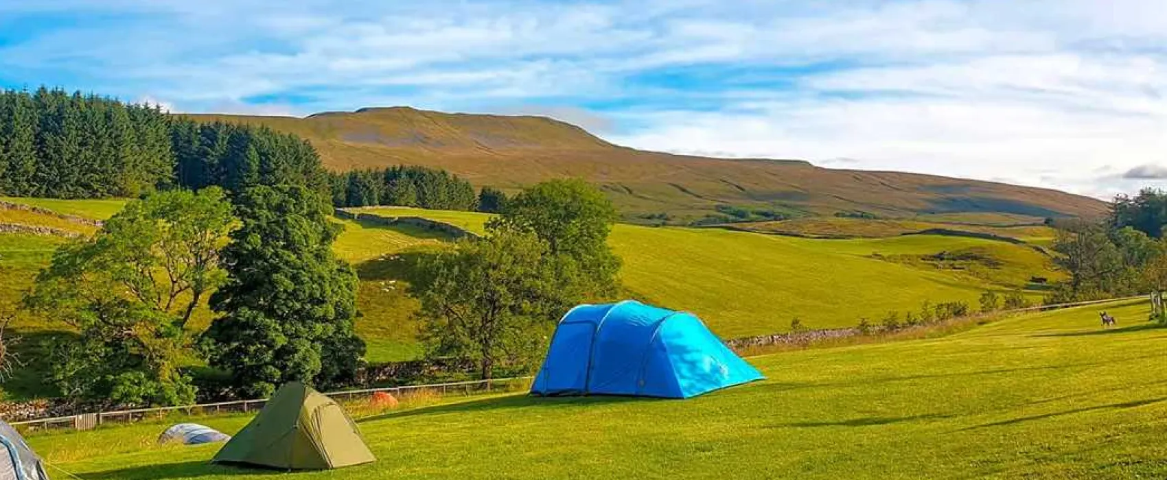 Philpin Farm Campsite