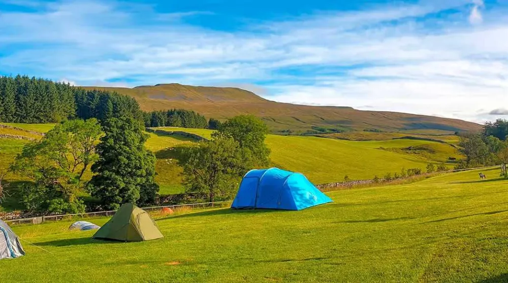 Philpin Farm Campsite