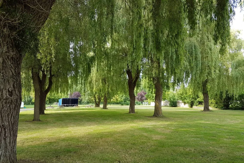 Camping de Cormery CARAVANE PALACE