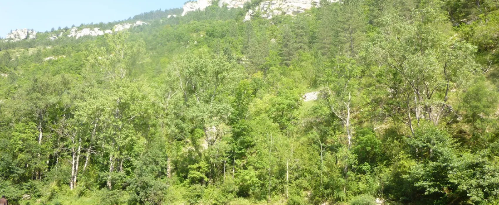 Yelloh! Village Nature et rivière ( Ex : Les Fayards)