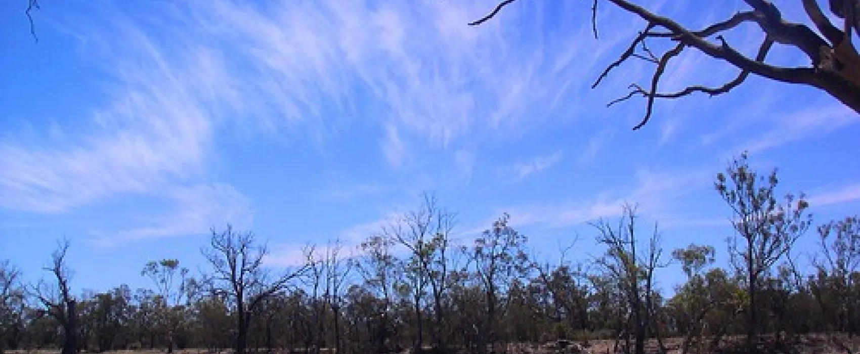 Murray-Kulkyne Campground
