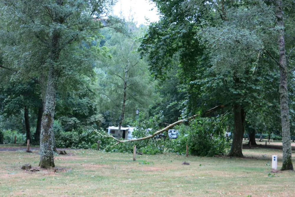 Camping Municipal De L'ombrade